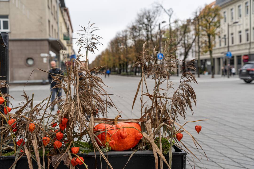 Kaunas puošiasi Helovino šventei