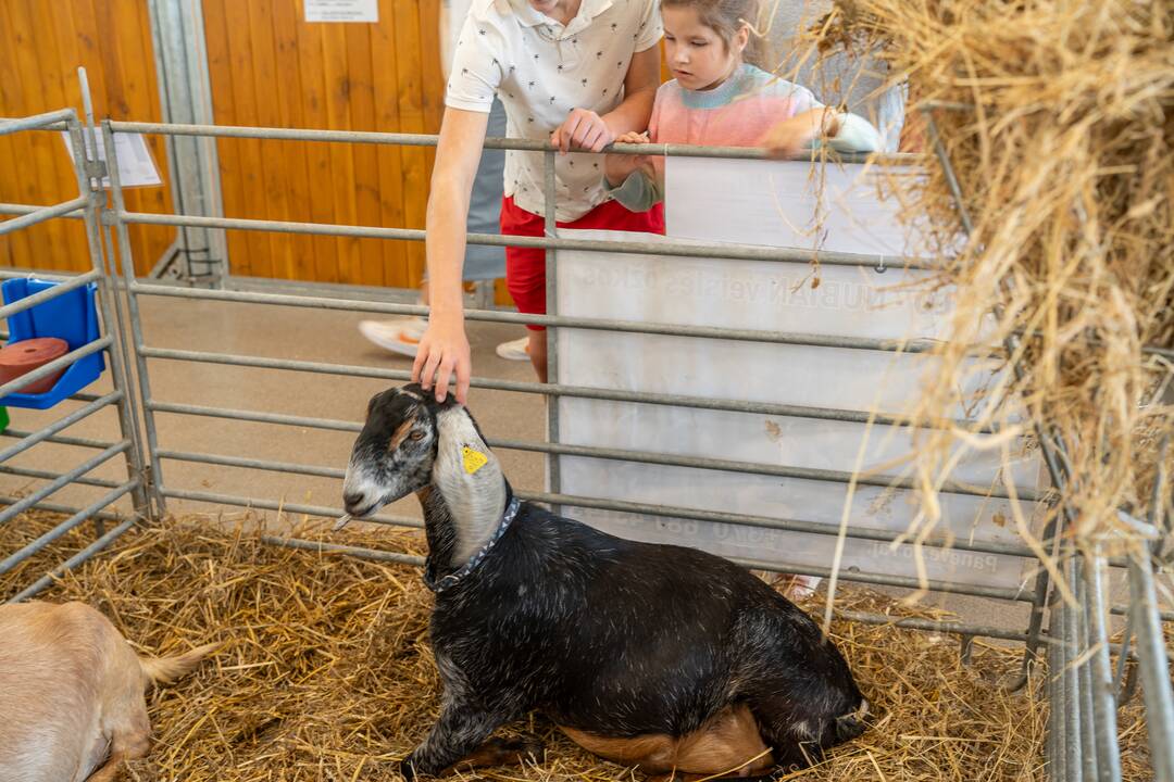 Gyvulininkystės paroda VDU Žemės ūkio akademijoje