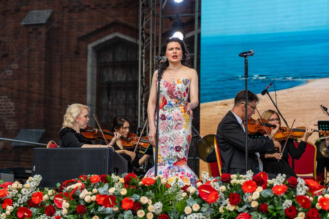Lietuva Raudondvario dvare