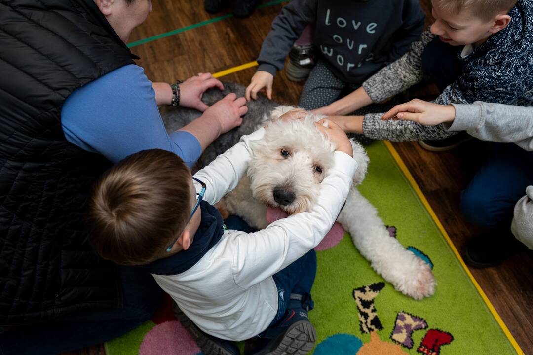 Vaikų skaitymai su terapiniais šunimis