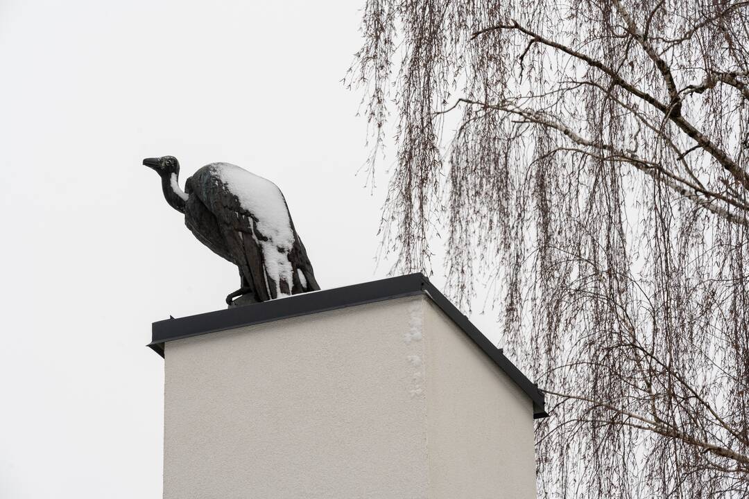 Avijaučiai Lietuvos zoologijos sode