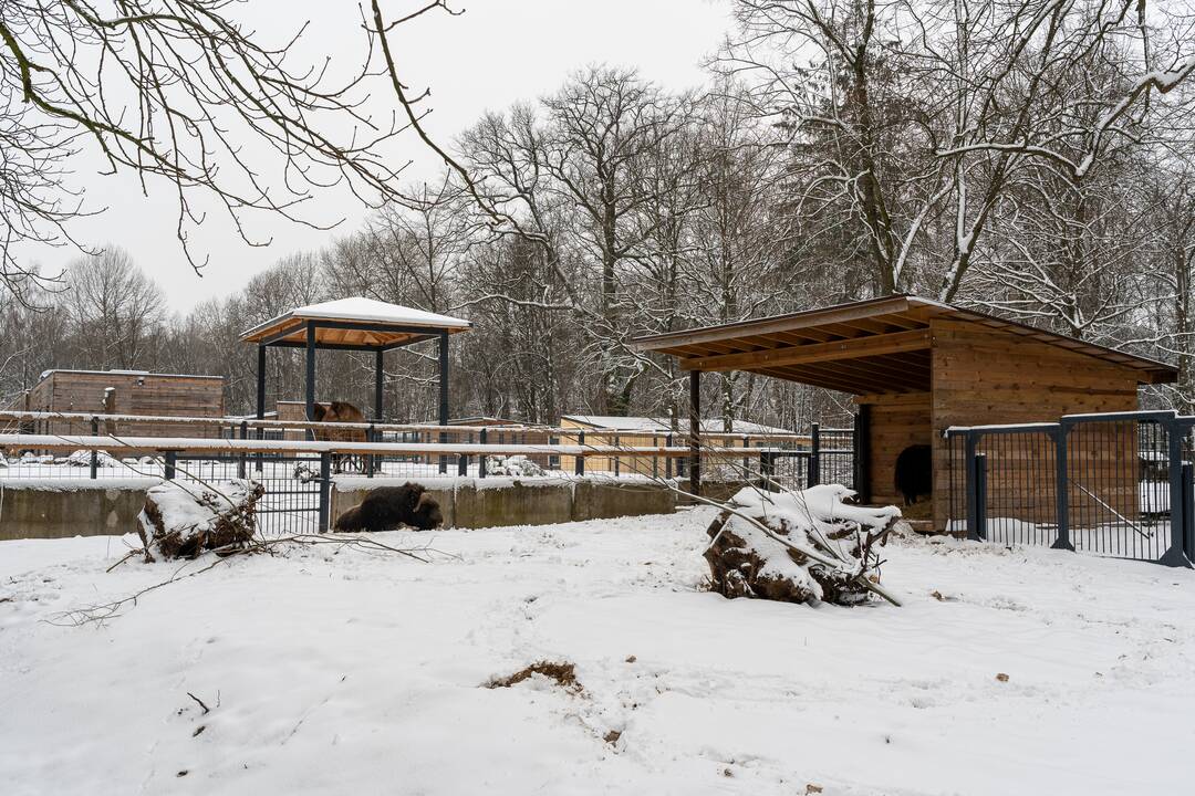Avijaučiai Lietuvos zoologijos sode