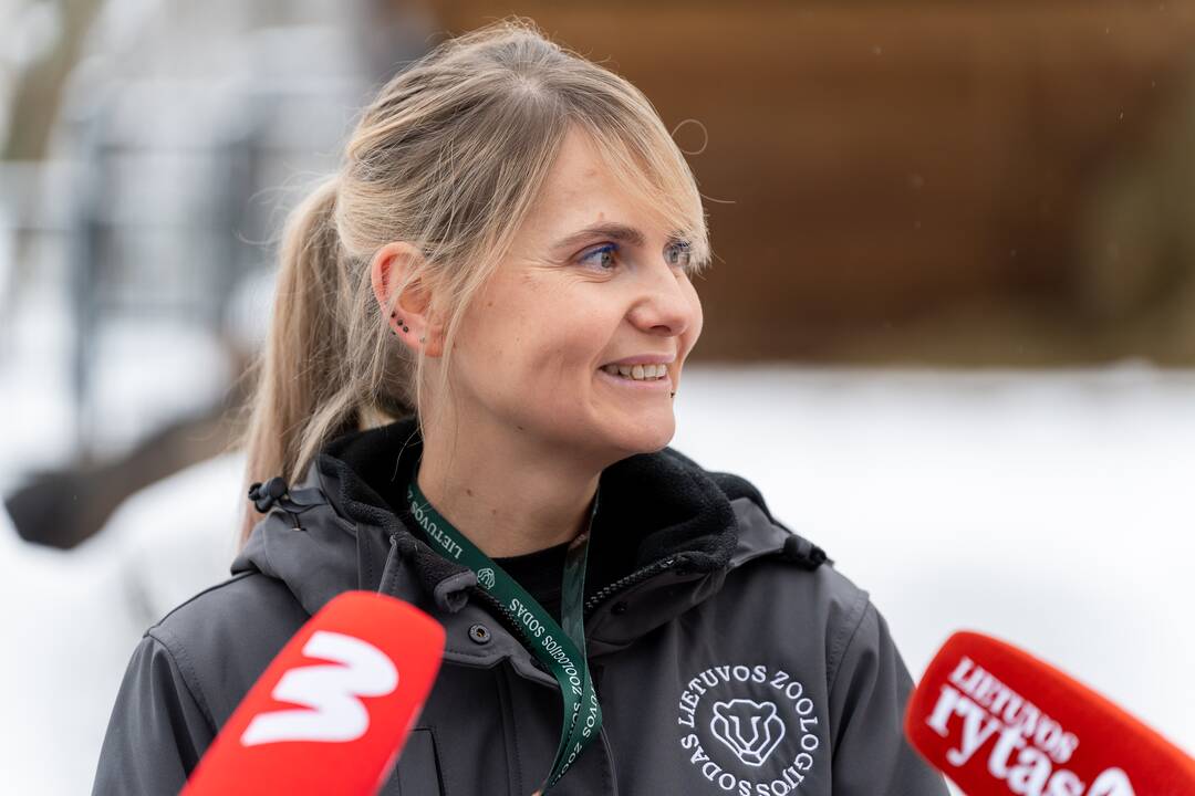 Avijaučiai Lietuvos zoologijos sode