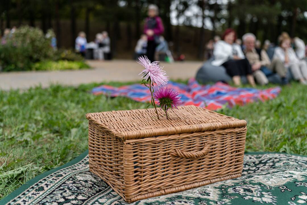 Senjorų piknikas