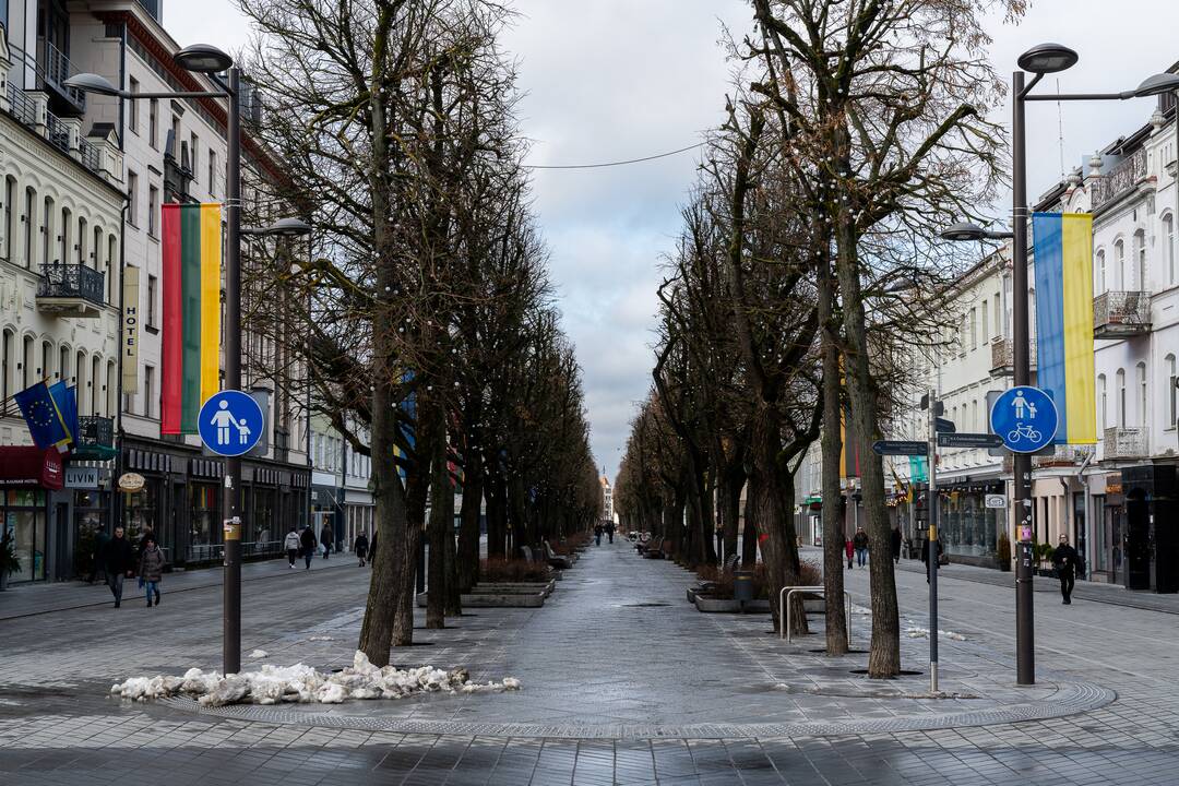 Lietuvos ir Ukrainos vėliavos Laisvės alėjoje