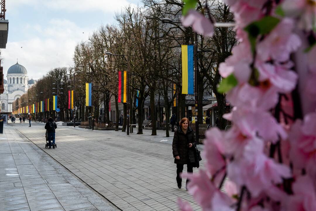 Lietuvos ir Ukrainos vėliavos Laisvės alėjoje