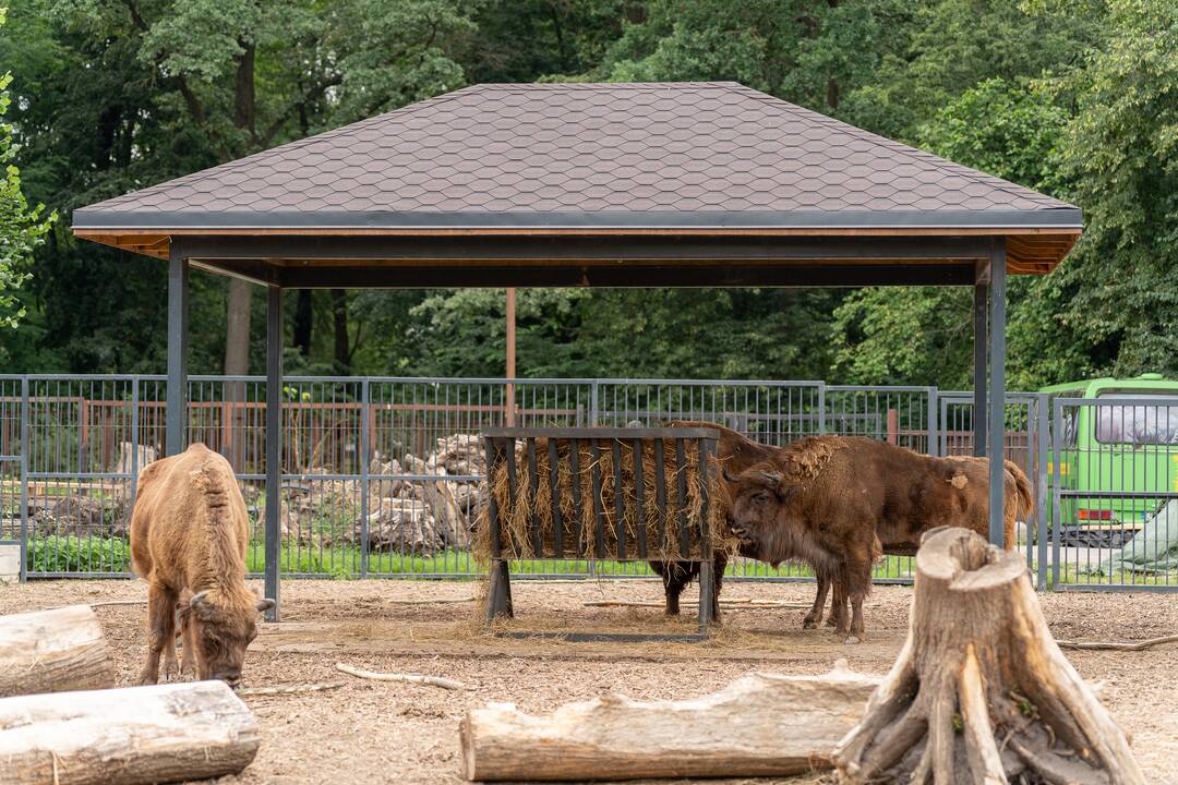 Lietuvos zoologijos sodo gimtadienis