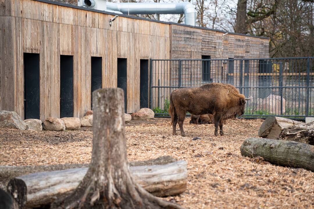 Pirmieji Lietuvos zoologijos sodo lankytojai