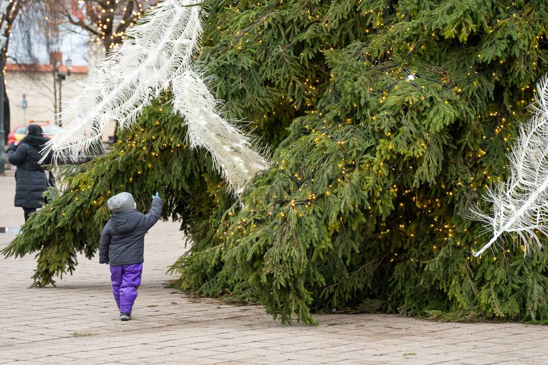 Kalėdos Rotušės aikštėje