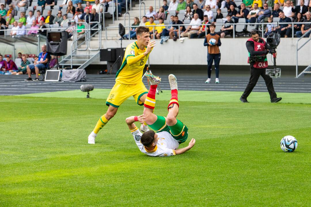 Europos futbolo čempionato atranka: Lietuva – Bulgarija 1:1
