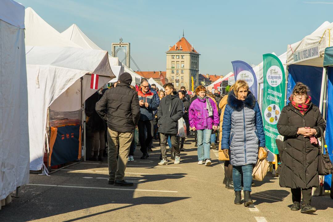 Įsisiūbuoja Kauno „Kaziuko mugė 2023“