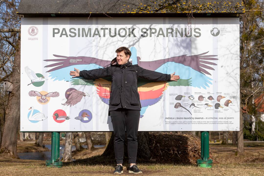 Botanikos sode tropiniai drugiai