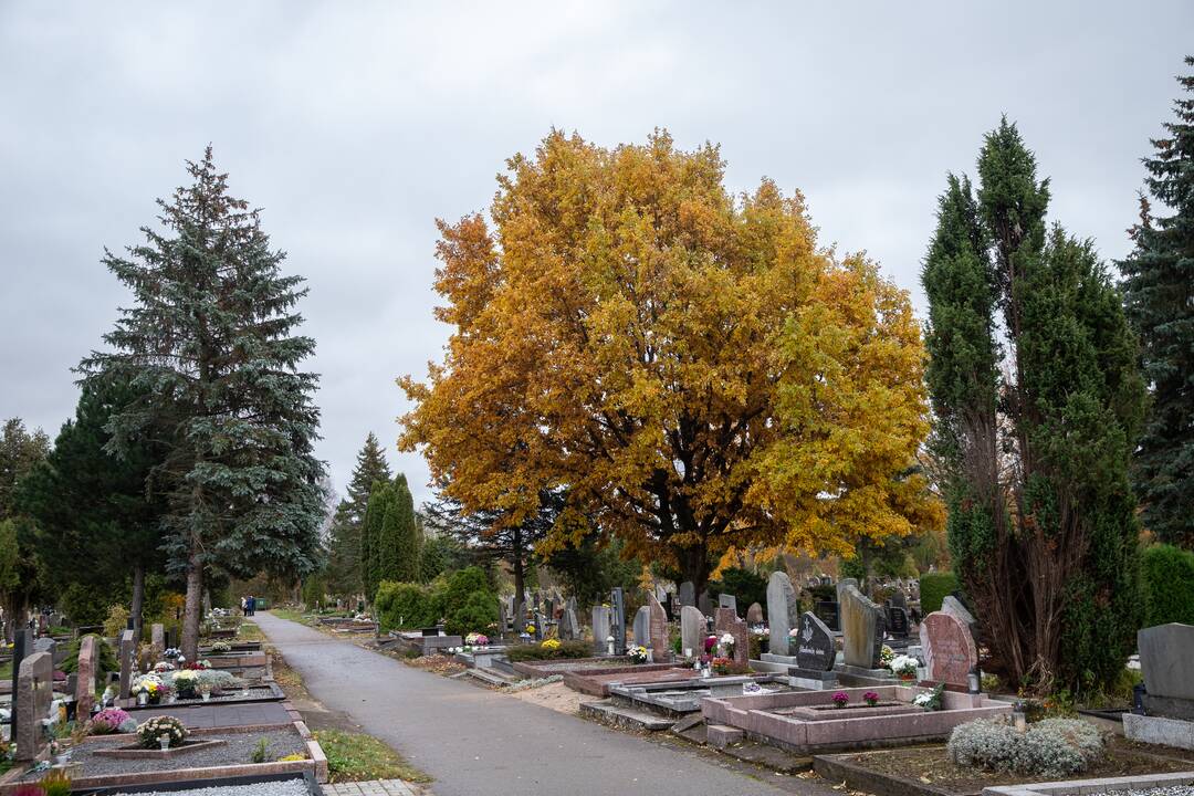 Visų šventųjų dieną kauniečiai plūdo į miesto kapines