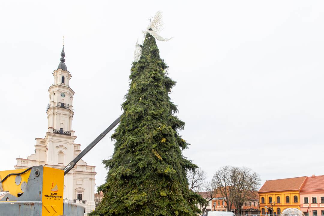 Pasirengimas Kalėdoms Rotušės aikštėje įgauna pagreitį