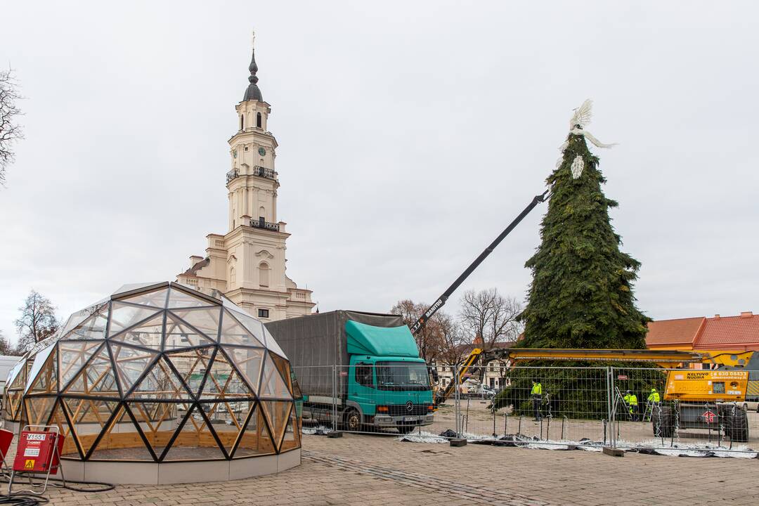 Pasirengimas Kalėdoms Rotušės aikštėje įgauna pagreitį