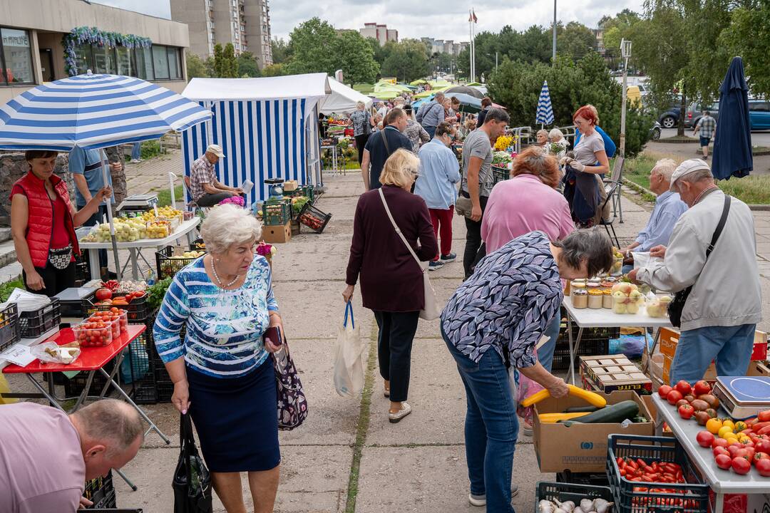 Kauno turgavietėse pridygo baravykų