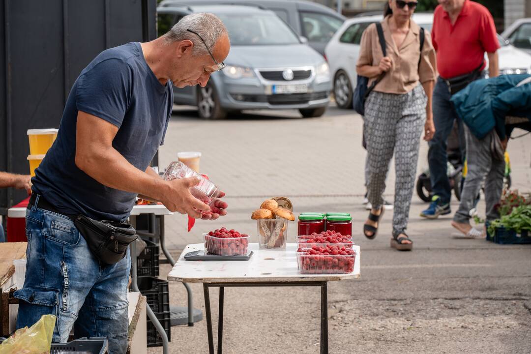 Kauno turgavietėse pridygo baravykų