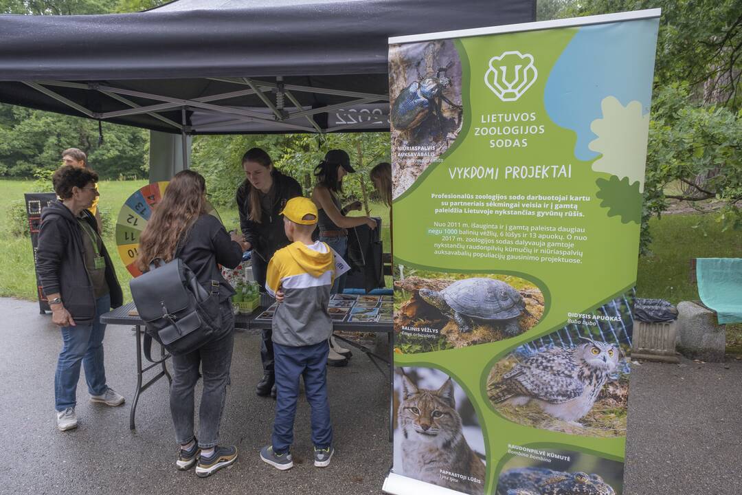 Į Panemunę sugrįžo festivalis "Pojūčių šilas"