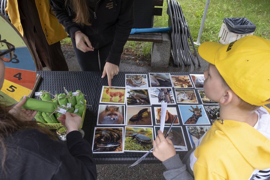 Į Panemunę sugrįžo festivalis "Pojūčių šilas"