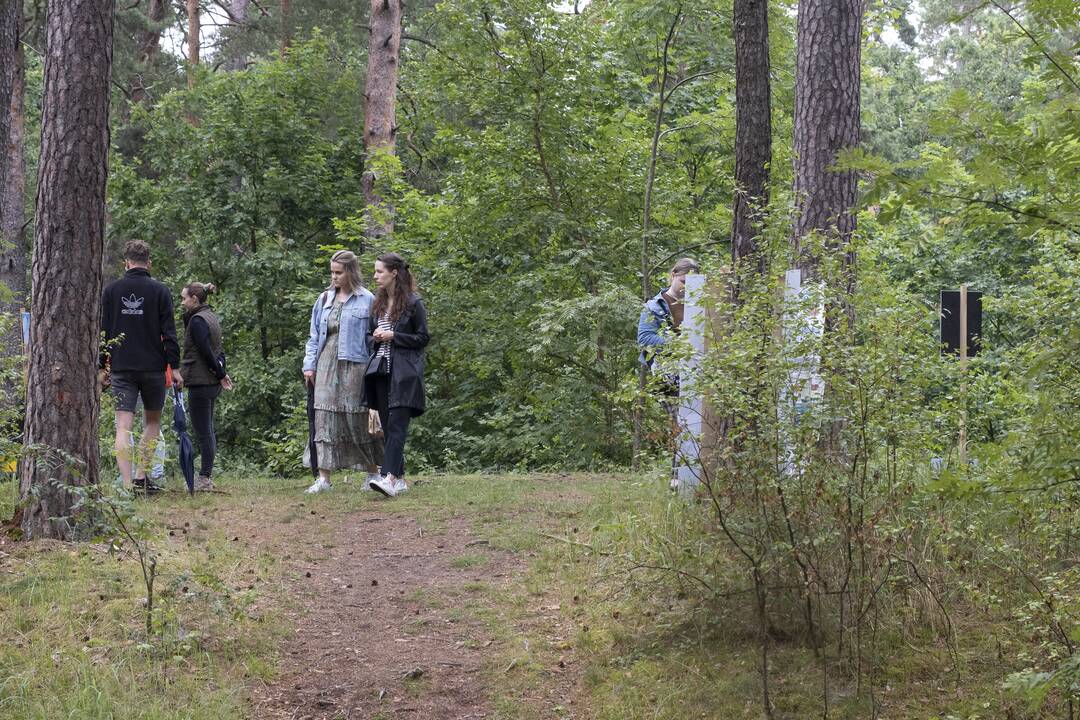 Į Panemunę sugrįžo festivalis "Pojūčių šilas"