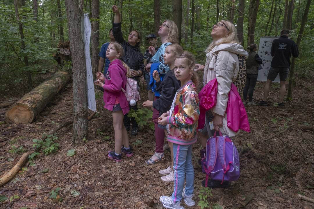 Į Panemunę sugrįžo festivalis "Pojūčių šilas"