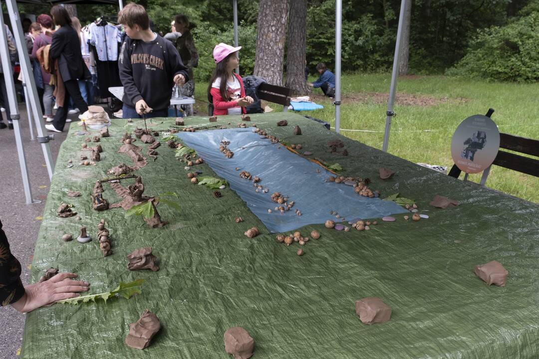 Į Panemunę sugrįžo festivalis "Pojūčių šilas"