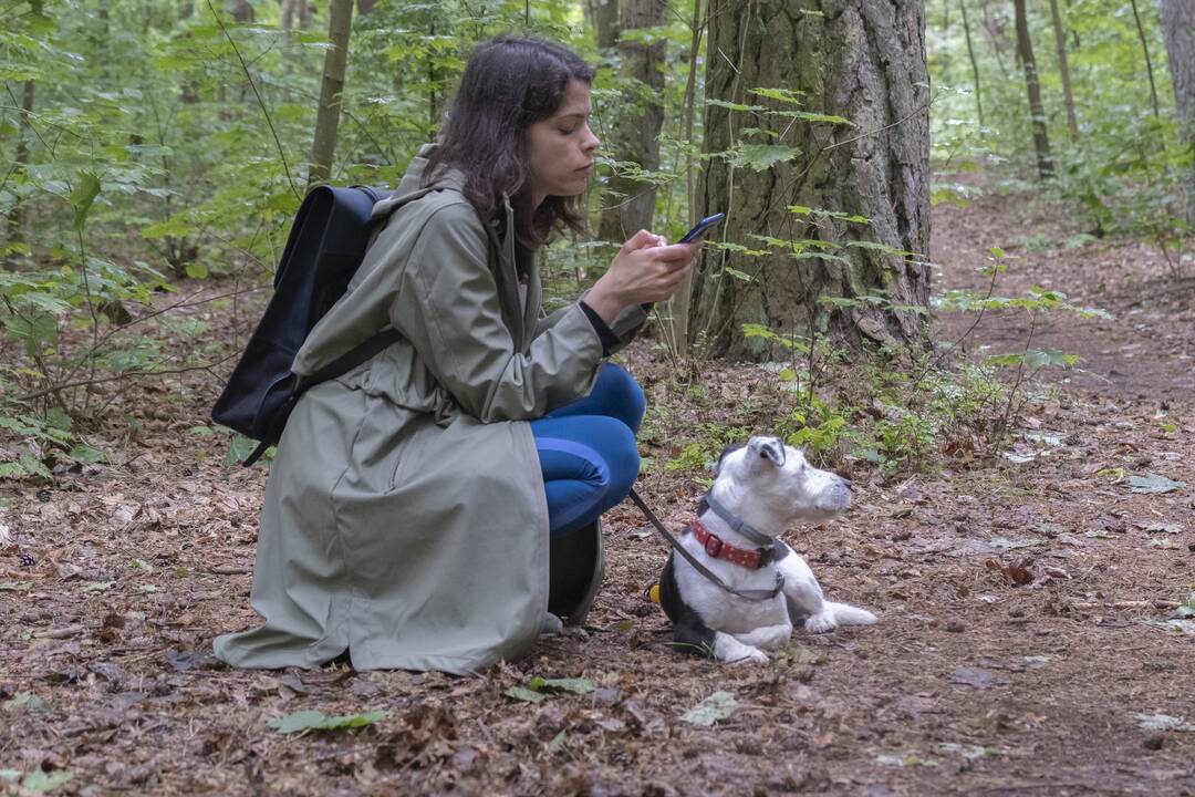 Į Panemunę sugrįžo festivalis "Pojūčių šilas"