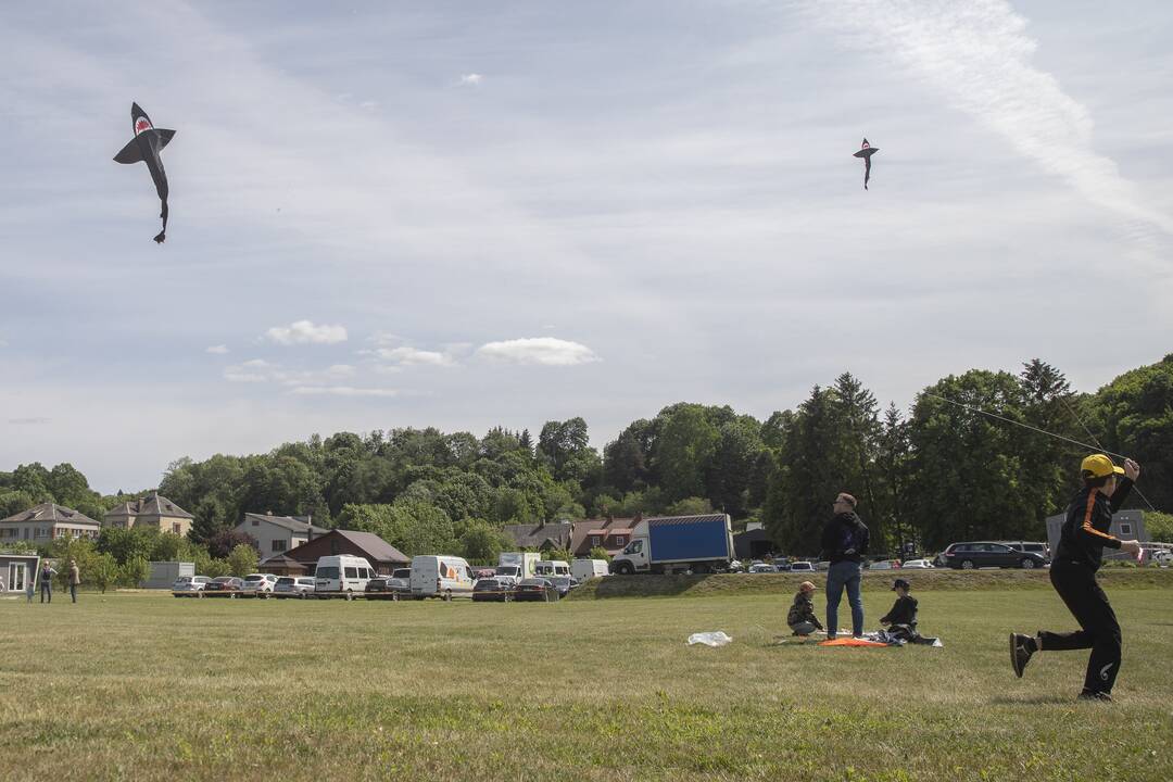 Aitvarų festivalis Zapyškyje (2023)