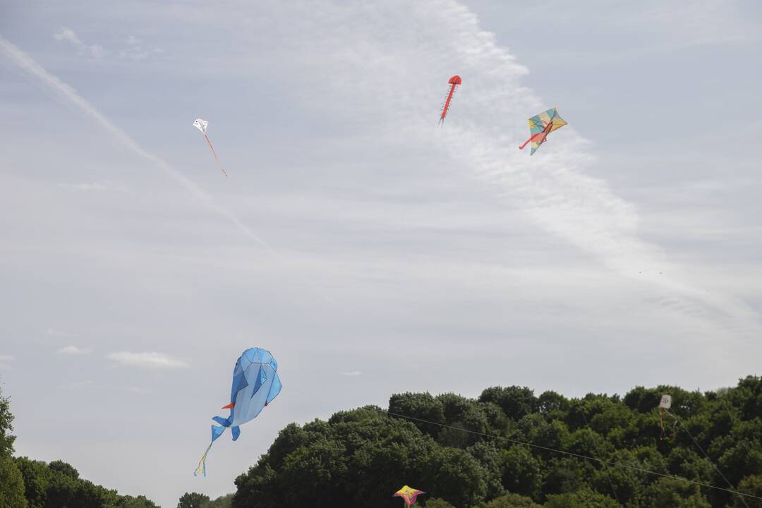 Aitvarų festivalis Zapyškyje (2023)