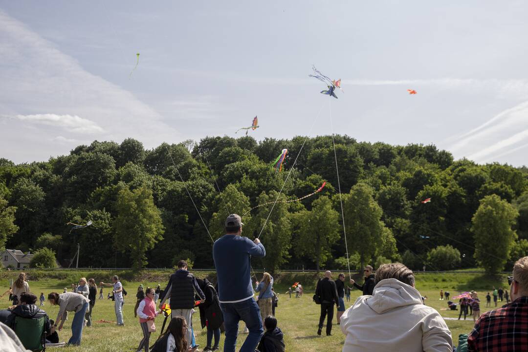Aitvarų festivalis Zapyškyje (2023)