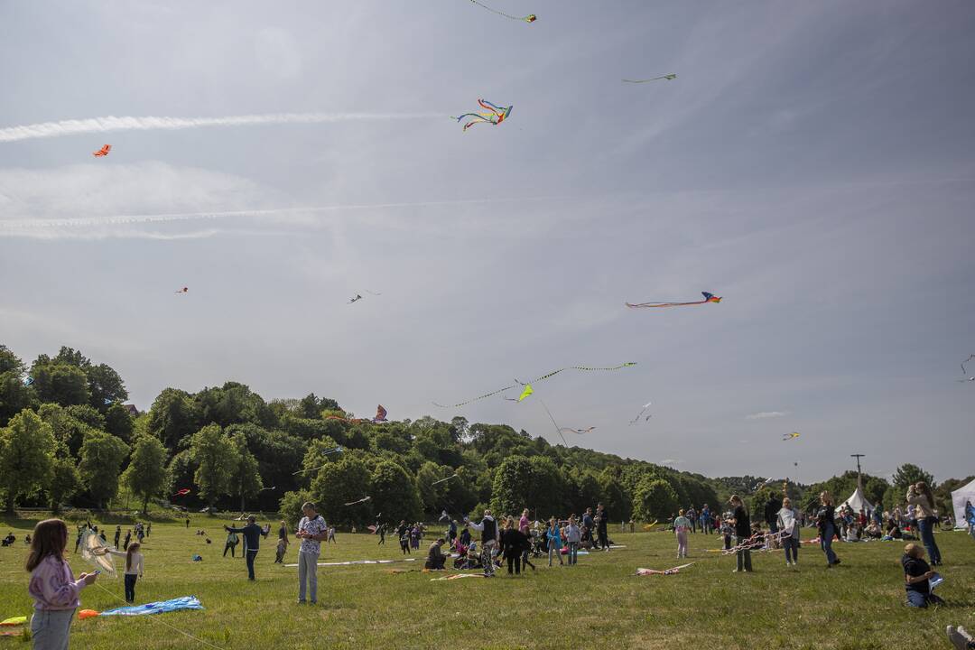Aitvarų festivalis Zapyškyje (2023)