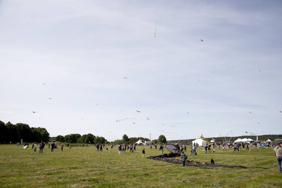 Aitvarų festivalis Zapyškyje (2023)