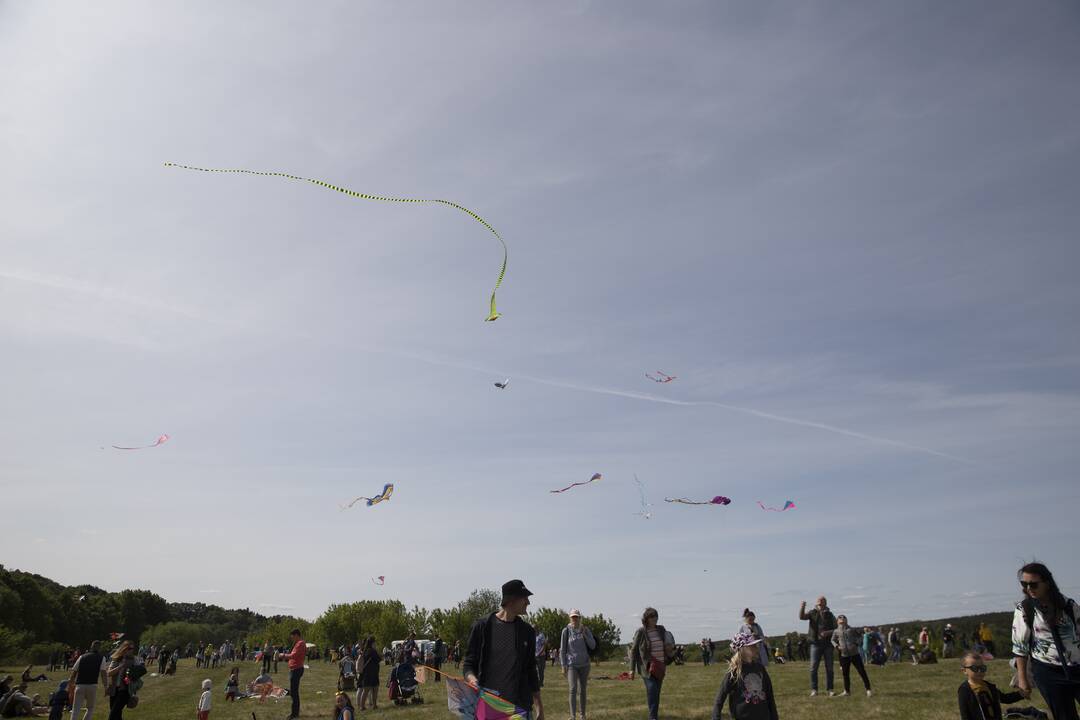 Aitvarų festivalis Zapyškyje (2023)