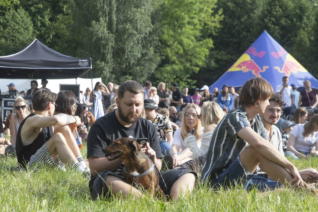 Festivalis "Audra" įsisuko į Ąžuolyną