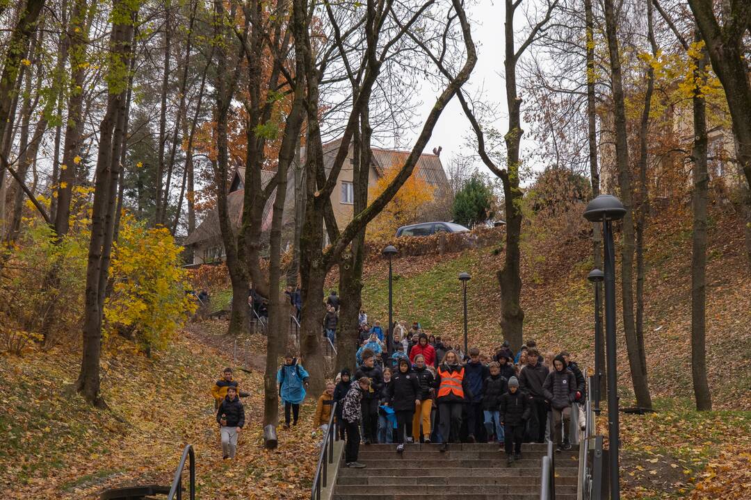 Diabeto dienos ėjimas