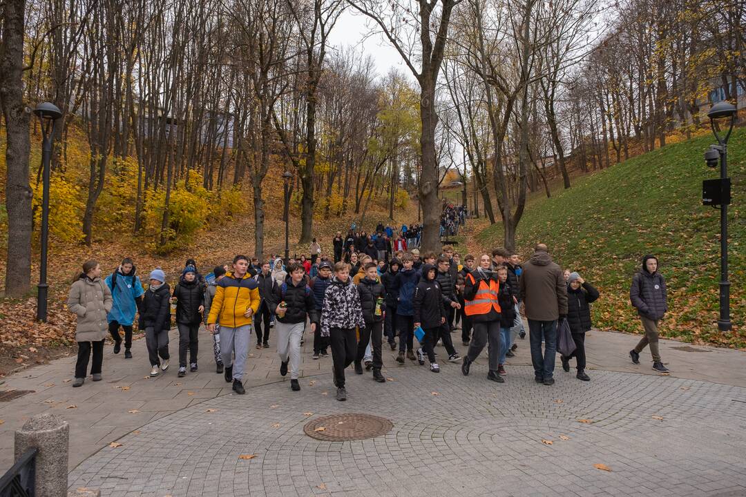 Diabeto dienos ėjimas
