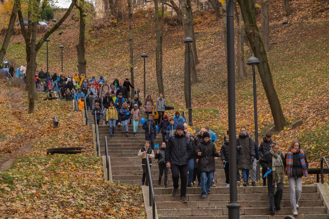 Diabeto dienos ėjimas