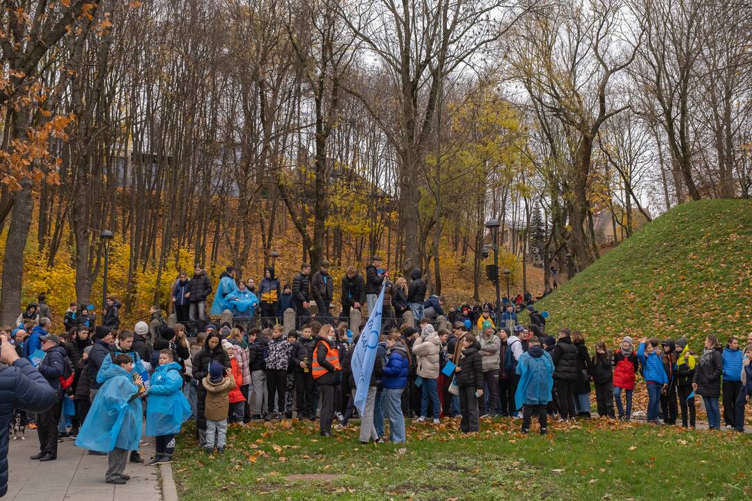 Diabeto dienos ėjimas