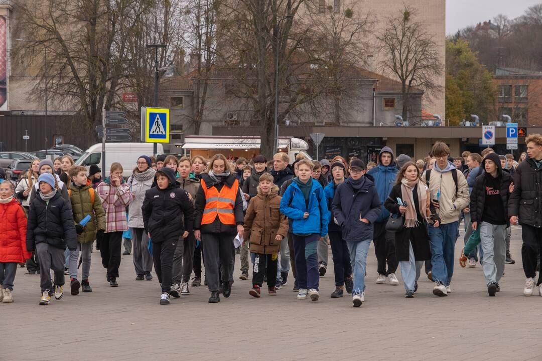 Diabeto dienos ėjimas