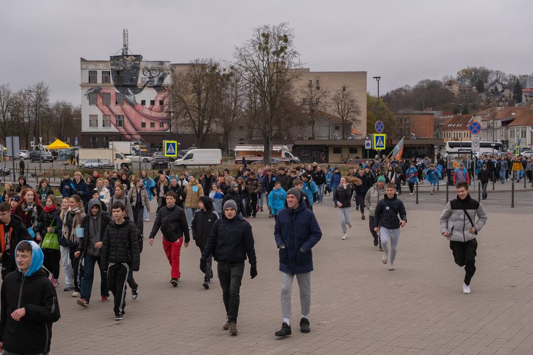 Diabeto dienos ėjimas