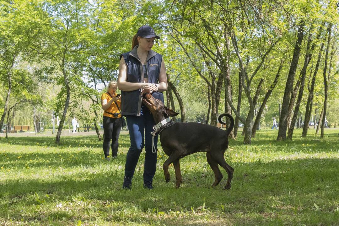 Kalniečių parke - šeimų savaitgalis su augintiniais