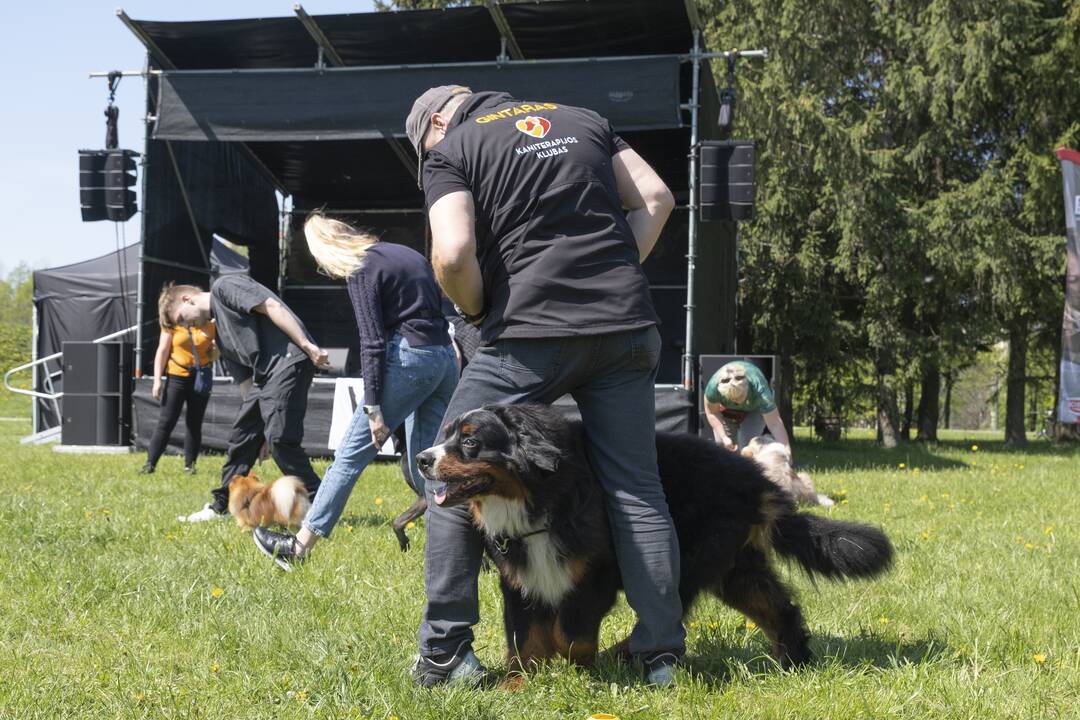 Kalniečių parke - šeimų savaitgalis su augintiniais