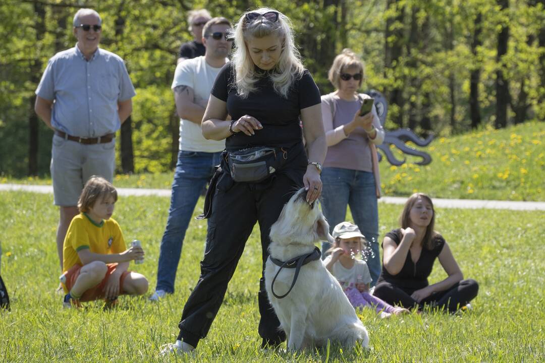 Kalniečių parke - šeimų savaitgalis su augintiniais