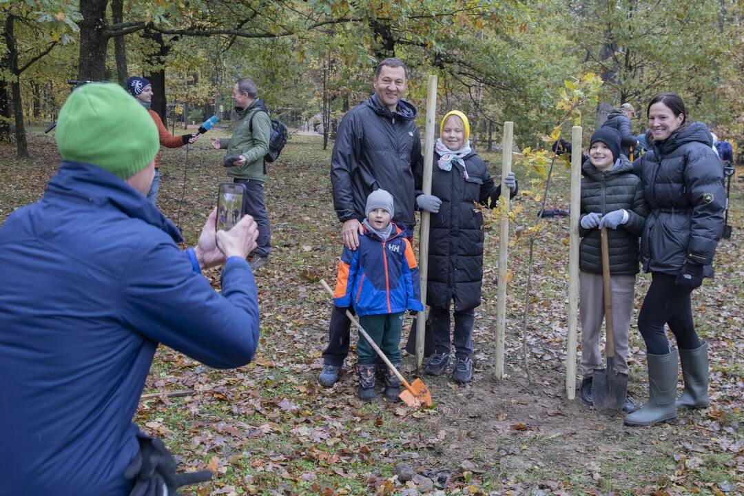 Kauno Ąžuolyno parką papildė nauji medeliai