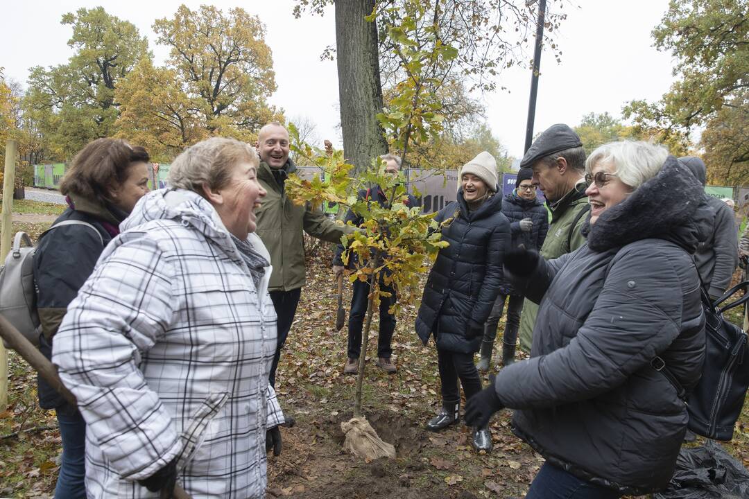 Kauno Ąžuolyno parką papildė nauji medeliai