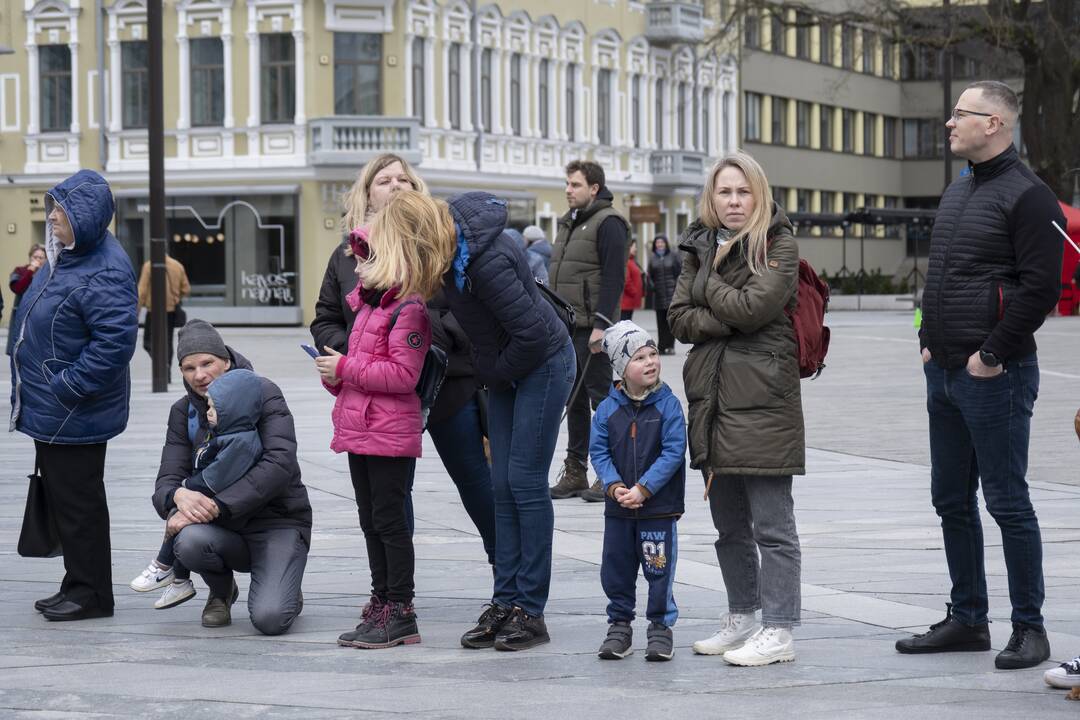 Saugaus eismo diena Kaune