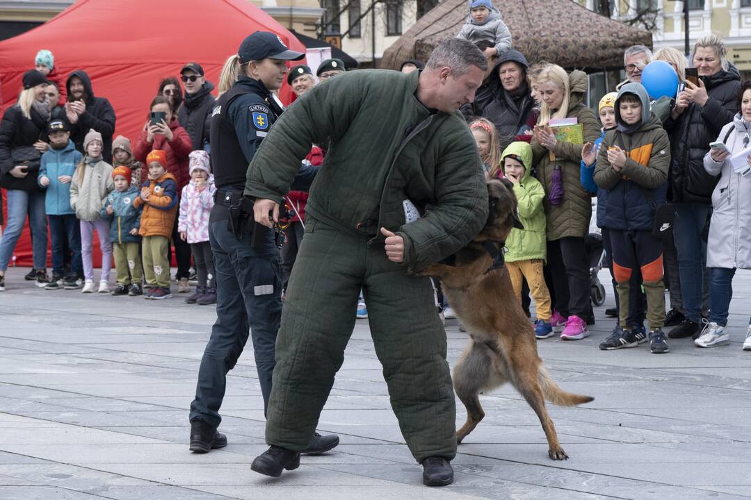 Saugaus eismo diena Kaune