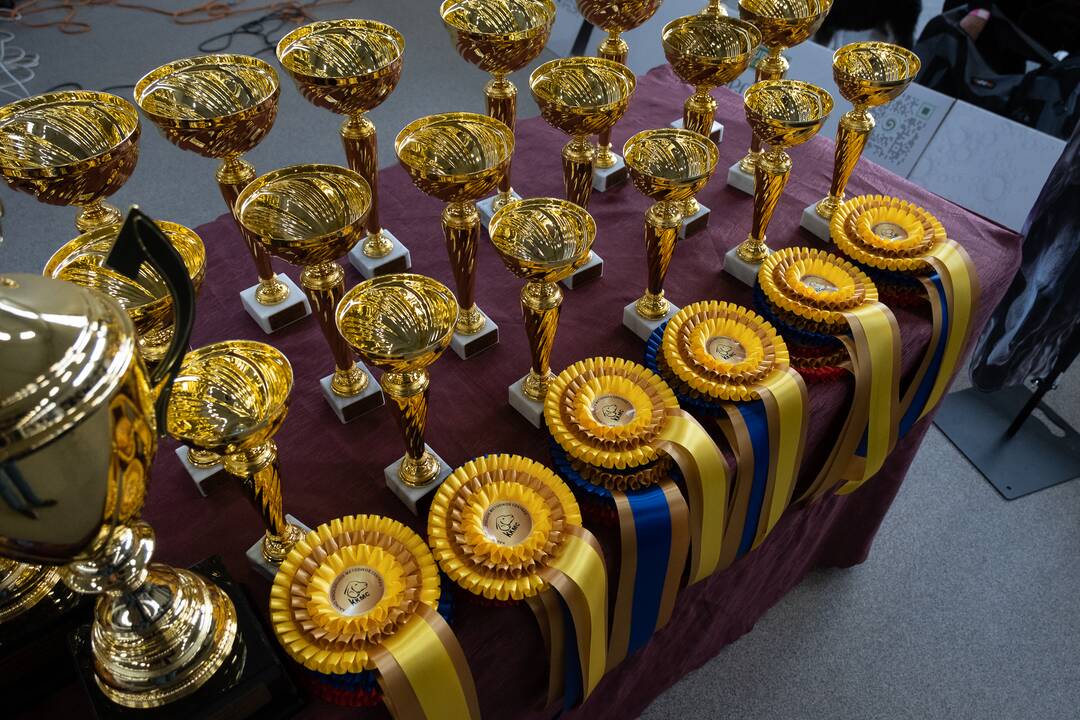 Visų veislių gražuoliai