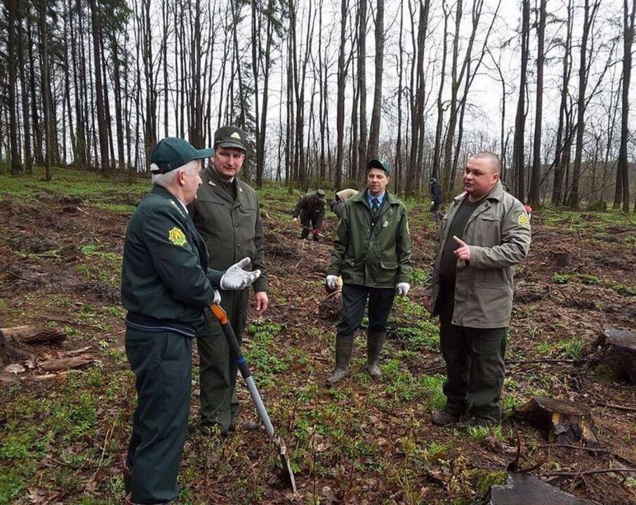 Pasodinti ąžuoliukai – lietuvių ir baltarusių bendrumo simbolis