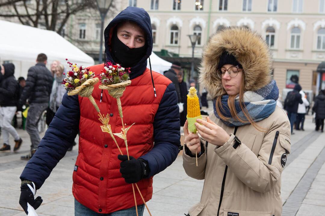 Vilniuje prasidėjo tradicinė Kaziuko mugė